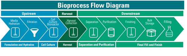 Bioprocess_flowdiagram_3updated