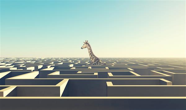 iStock-1273673758 giraffe labyrinth